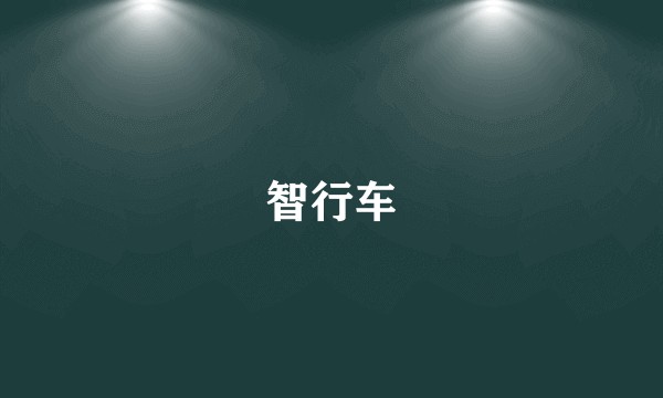智行车