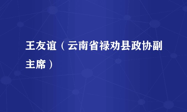 王友谊（云南省禄劝县政协副主席）