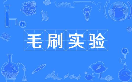 毛刷实验