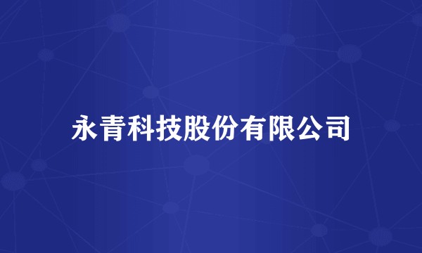 永青科技股份有限公司