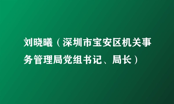 刘晓曦（深圳市宝安区机关事务管理局党组书记、局长）