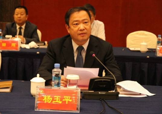 杨玉平(江西省宜春市政府办公室原二级调研员)