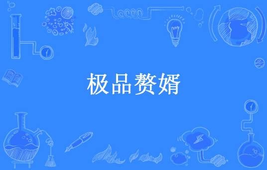 极品赘婿（城南怪人所著小说）