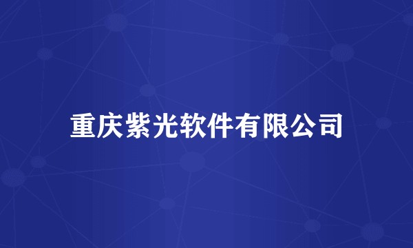 重庆紫光软件有限公司