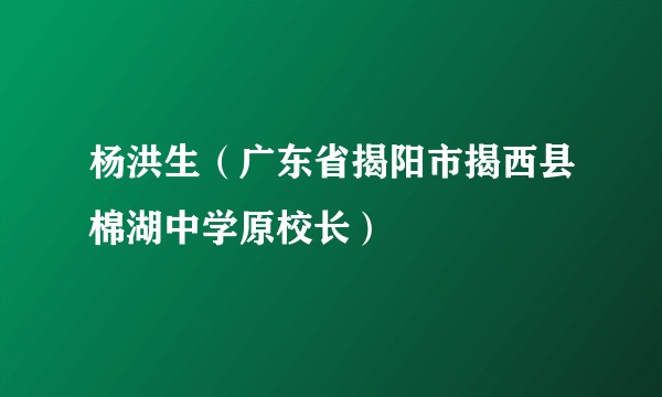 杨洪生（广东省揭阳市揭西县棉湖中学原校长）