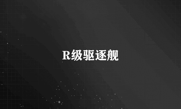 R级驱逐舰