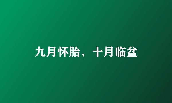 九月怀胎，十月临盆