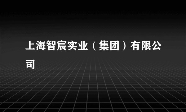 上海智宸实业（集团）有限公司