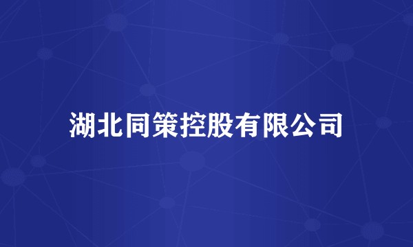 湖北同策控股有限公司