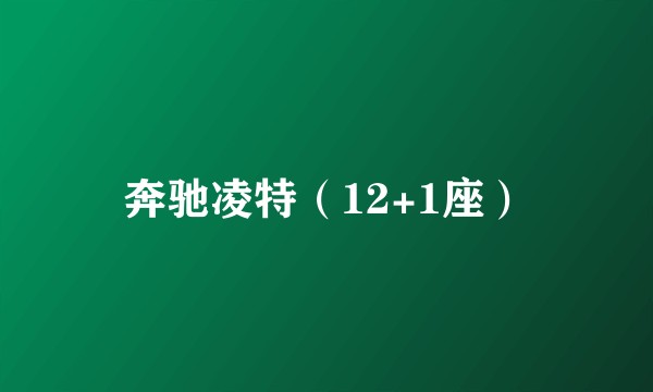 奔驰凌特（12+1座）