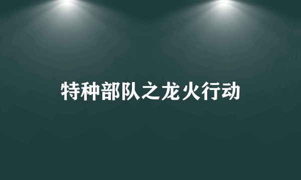 特种部队之龙火行动