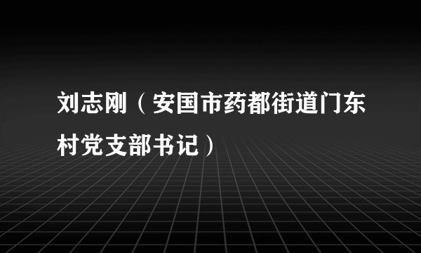 刘志刚（安国市药都街道门东村党支部书记）