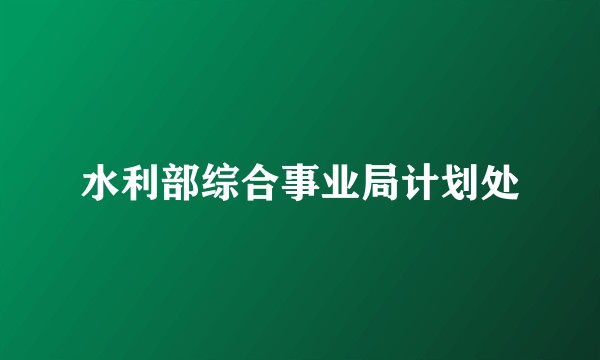 水利部综合事业局计划处