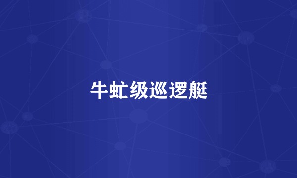 牛虻级巡逻艇