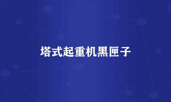 塔式起重机黑匣子