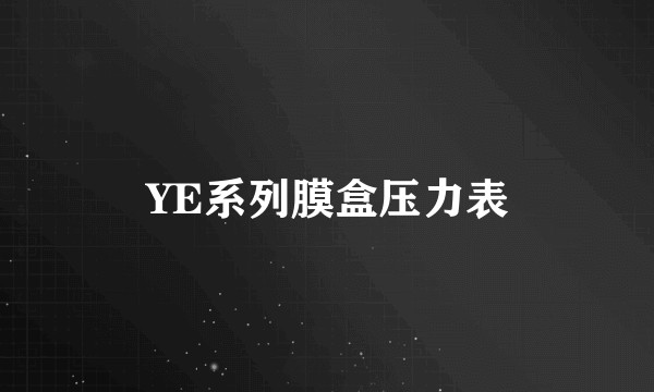 YE系列膜盒压力表