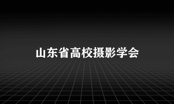 山东省高校摄影学会