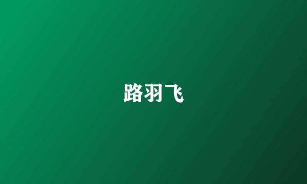 路羽飞