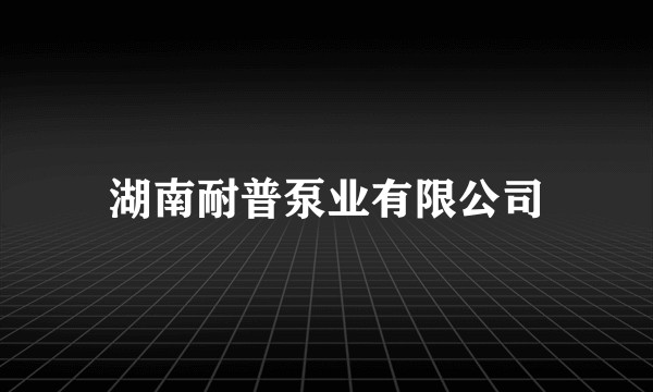 湖南耐普泵业有限公司
