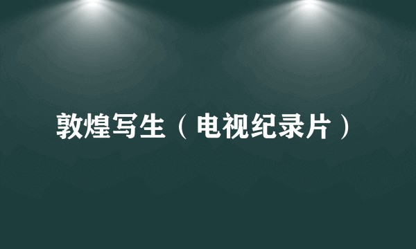 敦煌写生（电视纪录片）