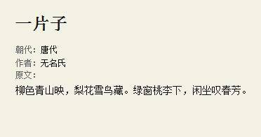 一片子