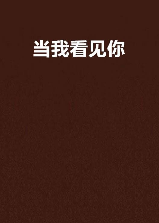 当我看见你（舞玖燃写的小说）