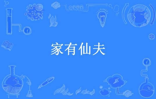 家有仙夫（阿米豆腐所著小说）