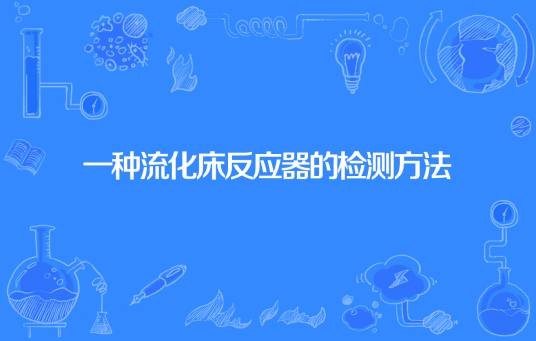 一种流化床反应器的检测方法
