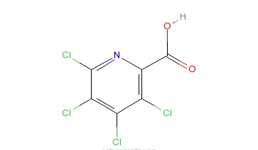 四氯吡啶甲酸