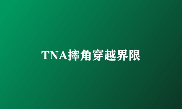 TNA摔角穿越界限