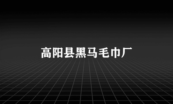 高阳县黑马毛巾厂