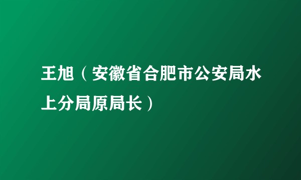 王旭（安徽省合肥市公安局水上分局原局长）