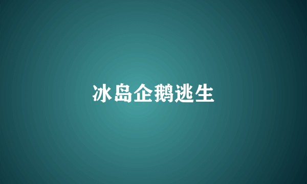 冰岛企鹅逃生