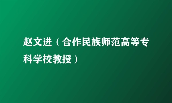 赵文进（合作民族师范高等专科学校教授）