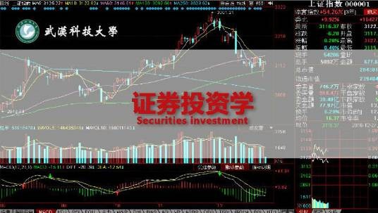 证券投资学(武汉科技大学提供的慕课)