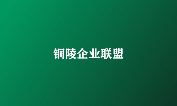 铜陵企业联盟