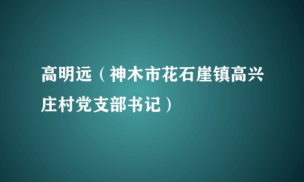 高明远（神木市花石崖镇高兴庄村党支部书记）