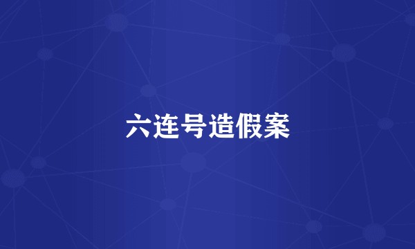 六连号造假案