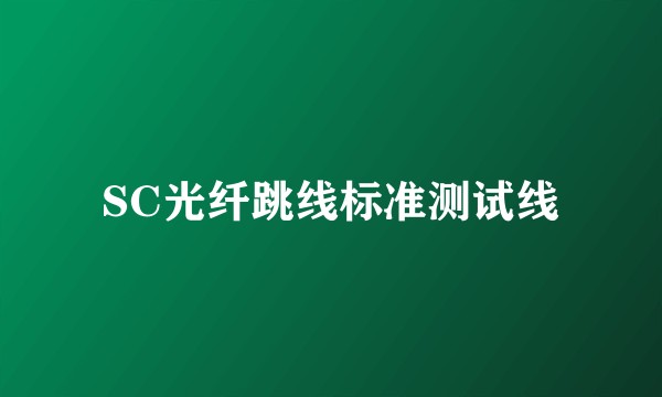 SC光纤跳线标准测试线