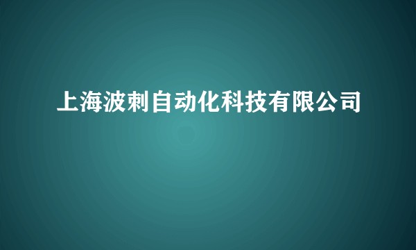 上海波刺自动化科技有限公司