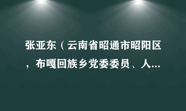 张亚东（云南省昭通市昭阳区，布嘎回族乡党委委员、人大主席）