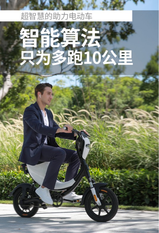 大鱼智行车