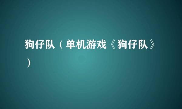 狗仔队（单机游戏《狗仔队》）