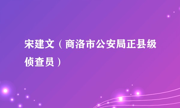 宋建文（商洛市公安局正县级侦查员）