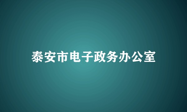 泰安市电子政务办公室