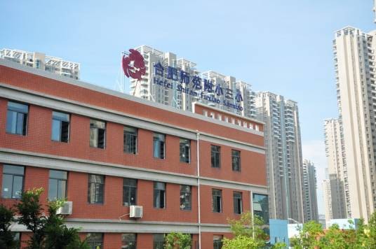 合肥师范附小三小