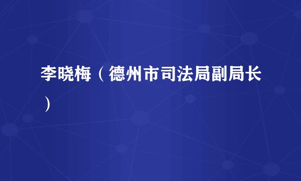 李晓梅（德州市司法局副局长）