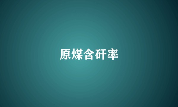 原煤含矸率
