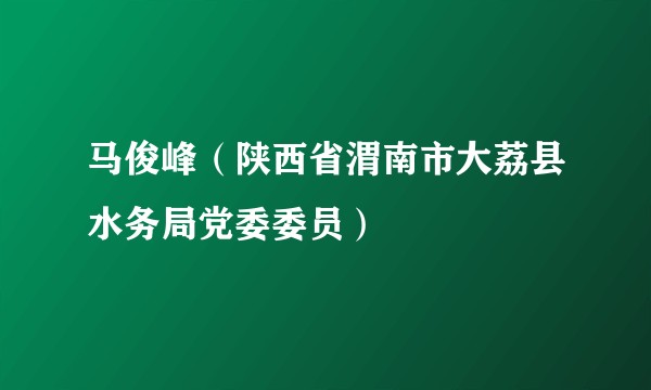马俊峰（陕西省渭南市大荔县水务局党委委员）