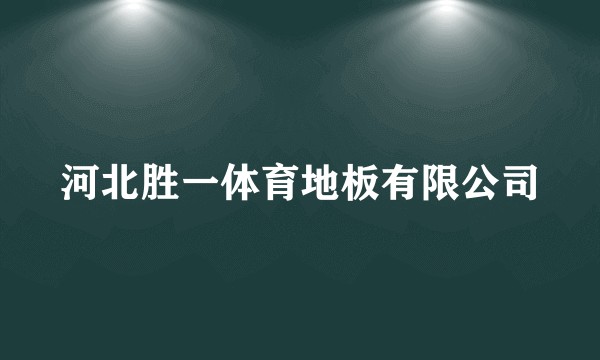河北胜一体育地板有限公司